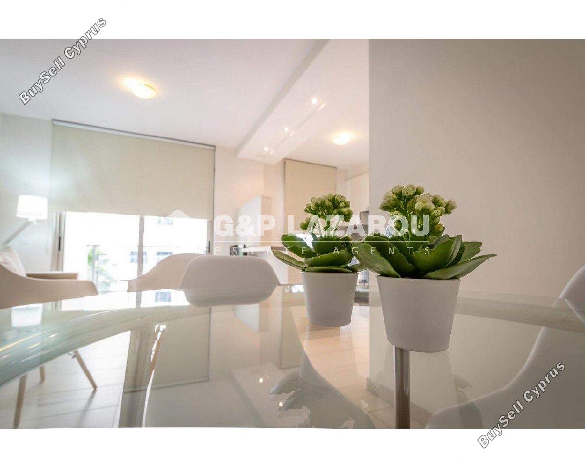 2 bedroom apartment for rent strovolos nicosia 7879755 image 16780406