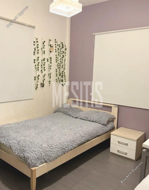 3 bedroom detached house for rent limassol municipality limassol 1820755 image 10537478