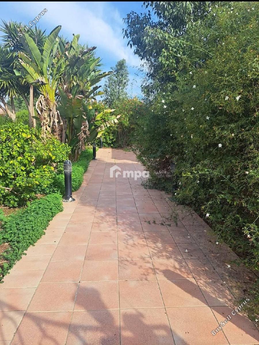 4 bedroom detached house for sale pano deftera nicosia 1730855 image 5567172