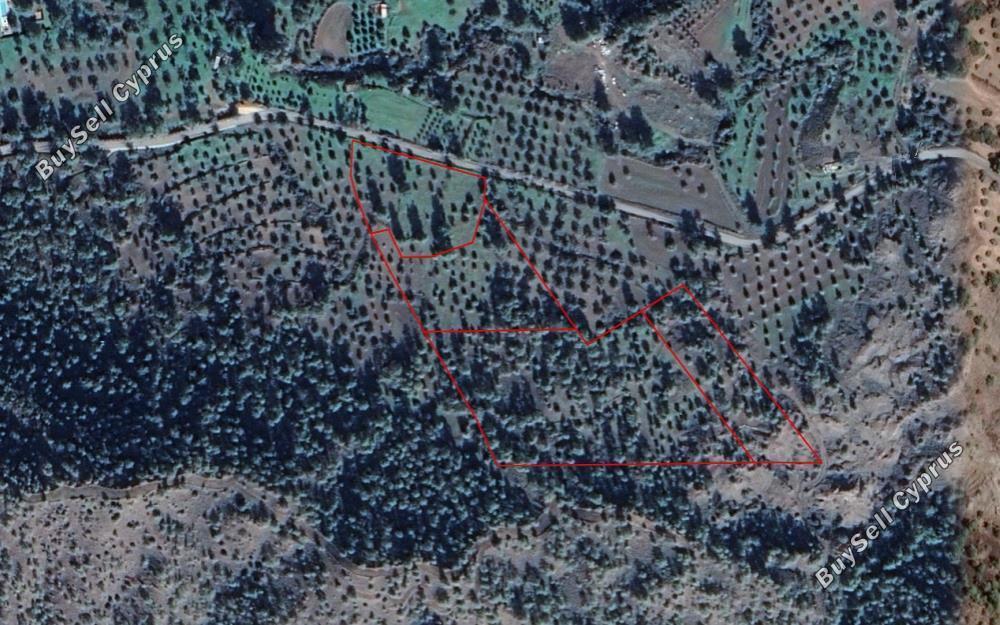 land for sale kornos larnaca 830855 image 13669187