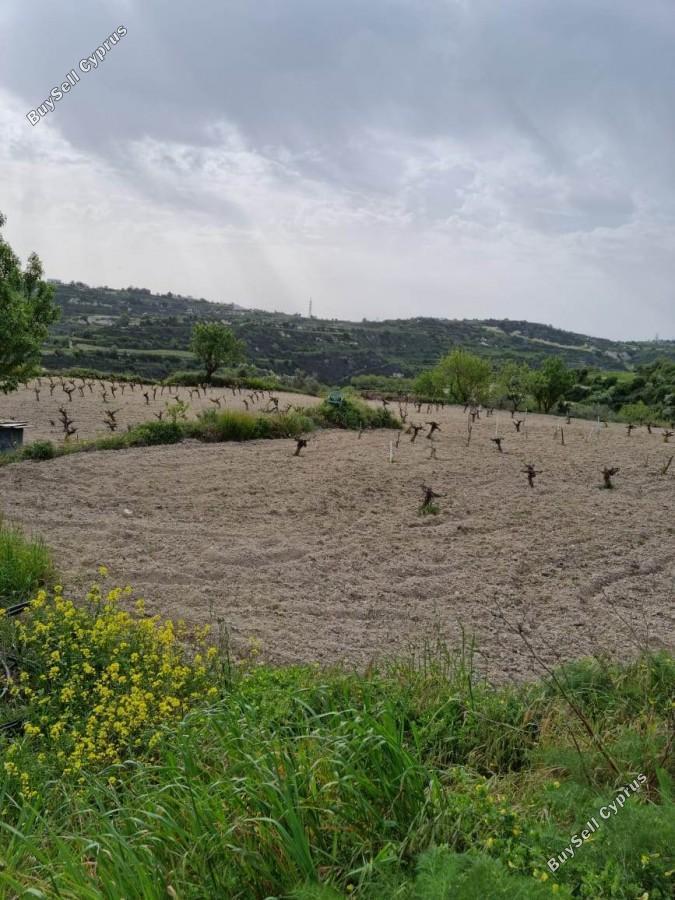 land for sale tsada paphos 8529855 image 15457857