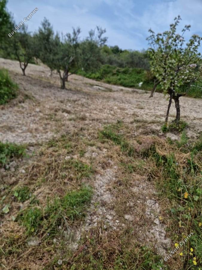 land for sale tsada paphos 8529855 image 15457859