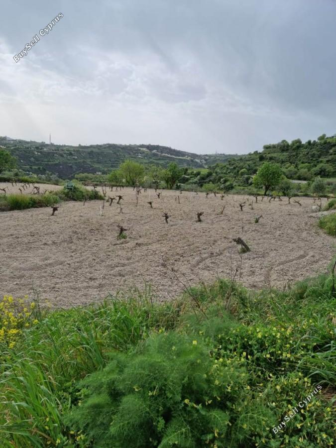 land for sale tsada paphos 8529855 image 15457860