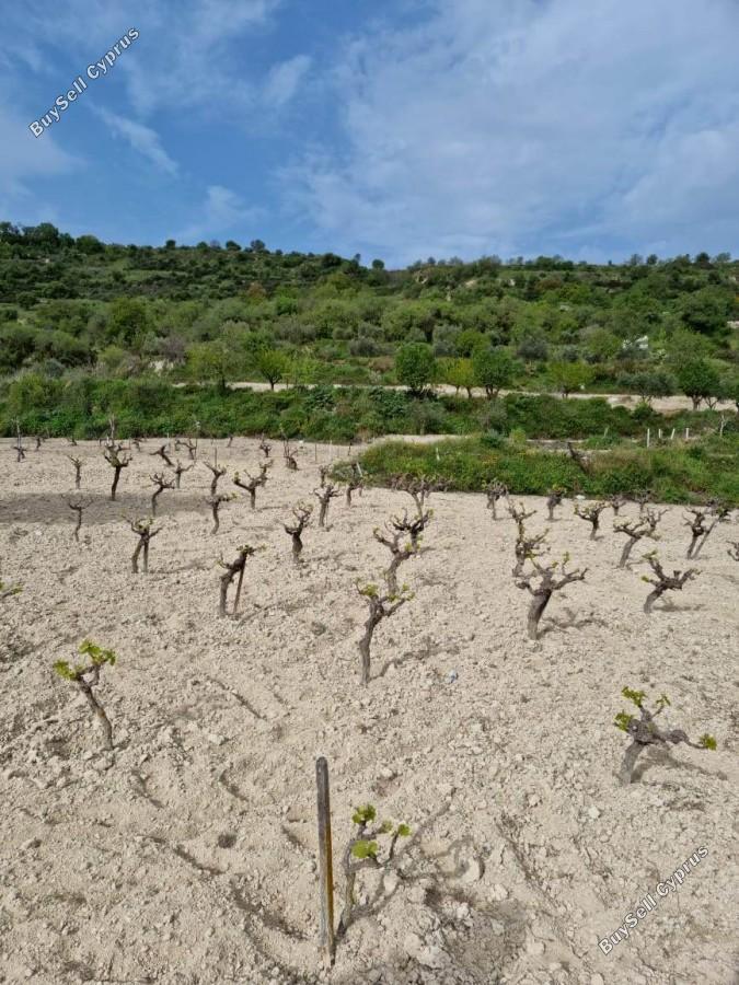 land for sale tsada paphos 8529855 image 15457861