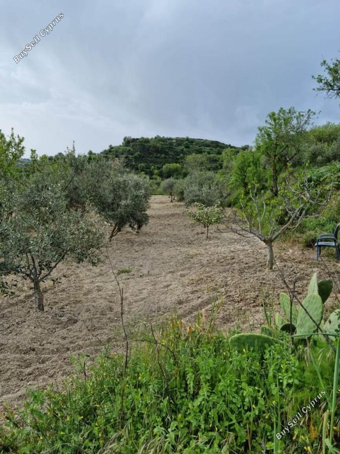 land for sale tsada paphos 8529855 image 15457862
