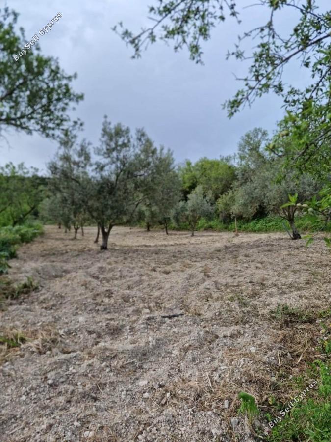 land for sale tsada paphos 8529855 image 15457863