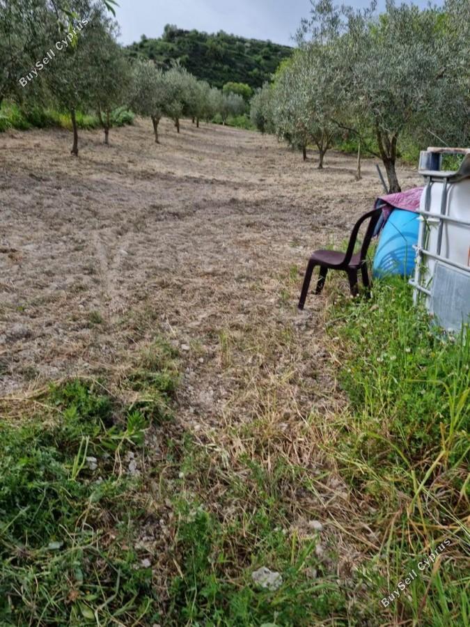 land for sale tsada paphos 8529855 image 15457864