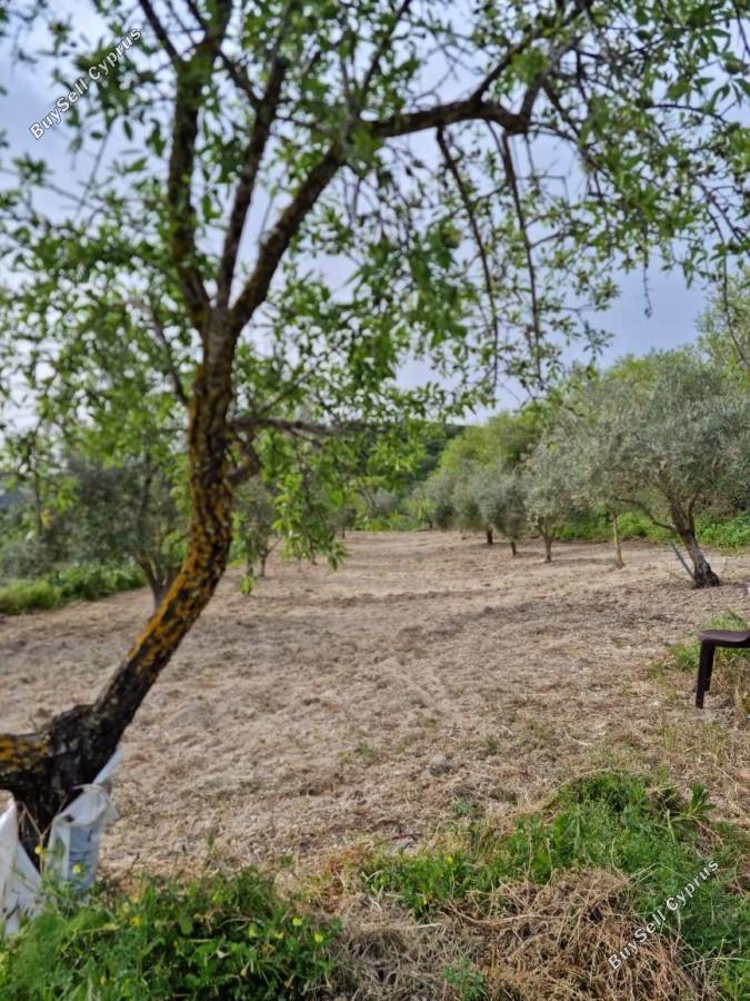 land for sale tsada paphos 8529855 image 15457865