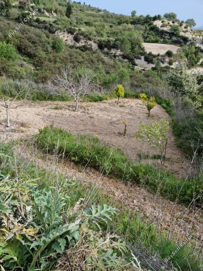 land for sale tsada paphos 8529855 image 15457866