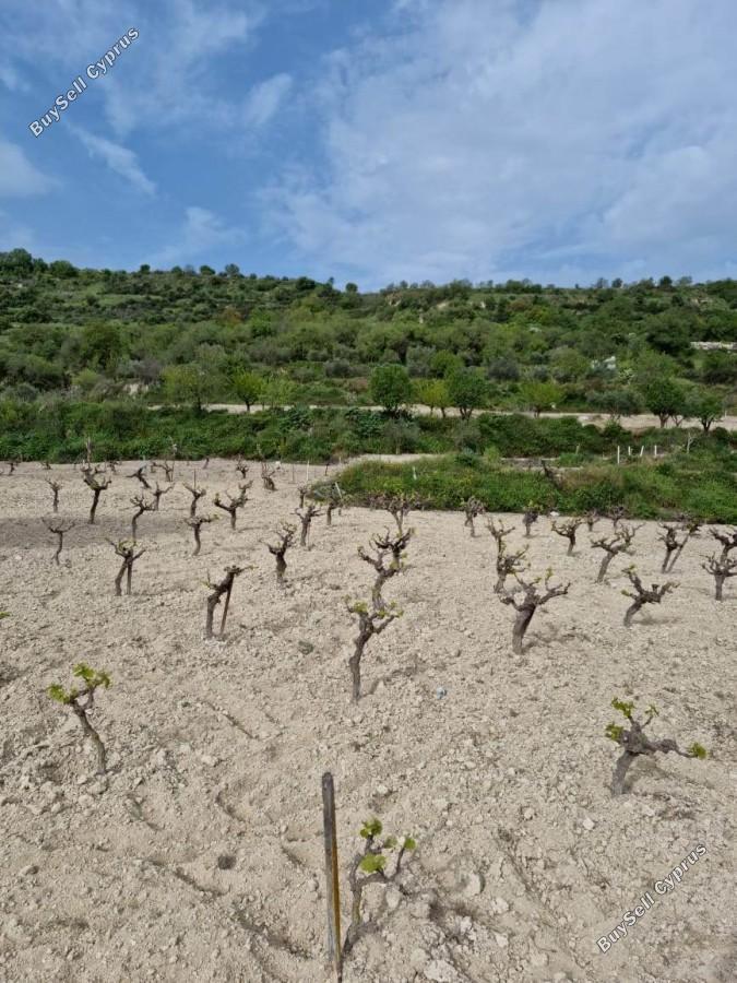 land for sale tsada paphos 8529855 image 15457867