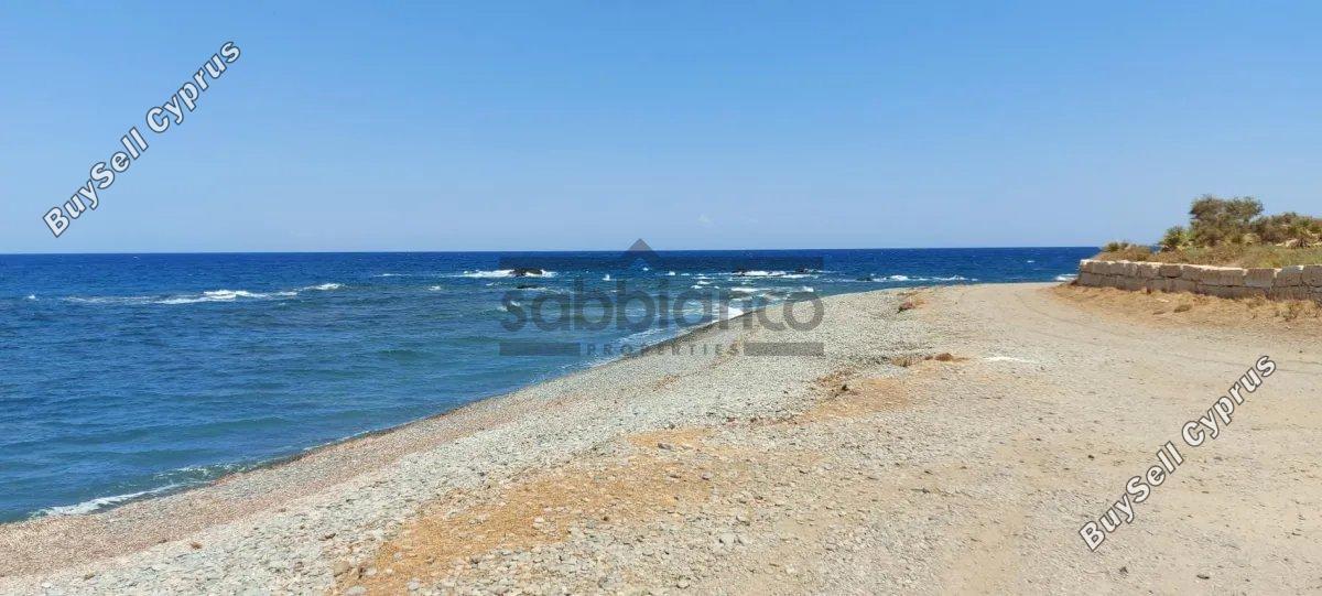 4 bedroom detached house for sale pomos paphos 8744955 image 16427622