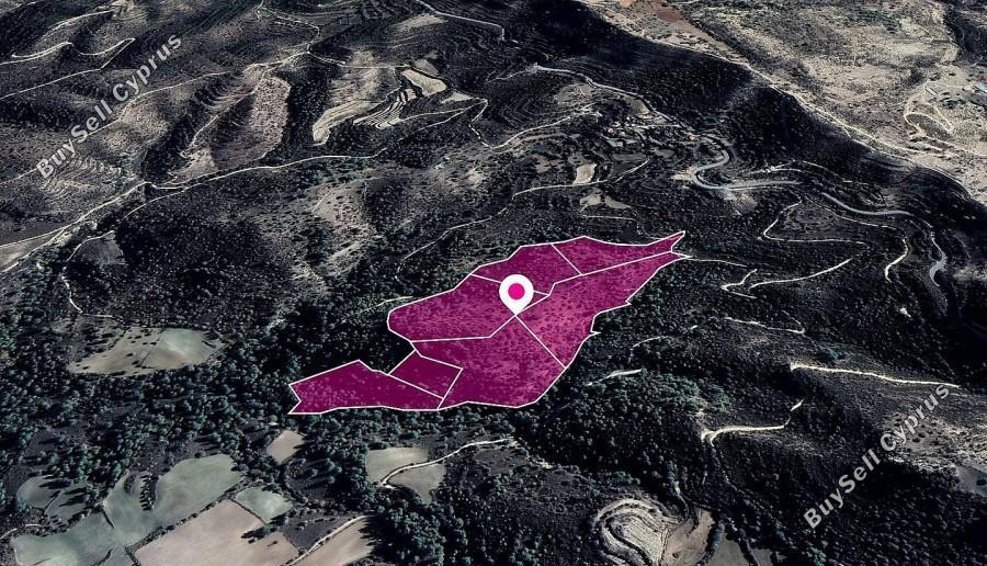 land for sale mousere paphos 1354955 image 5614516