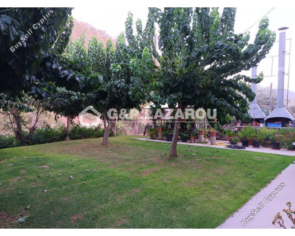 studio restaurant for sale agios epifanios oreinis nicosia 7591955 image 17601936