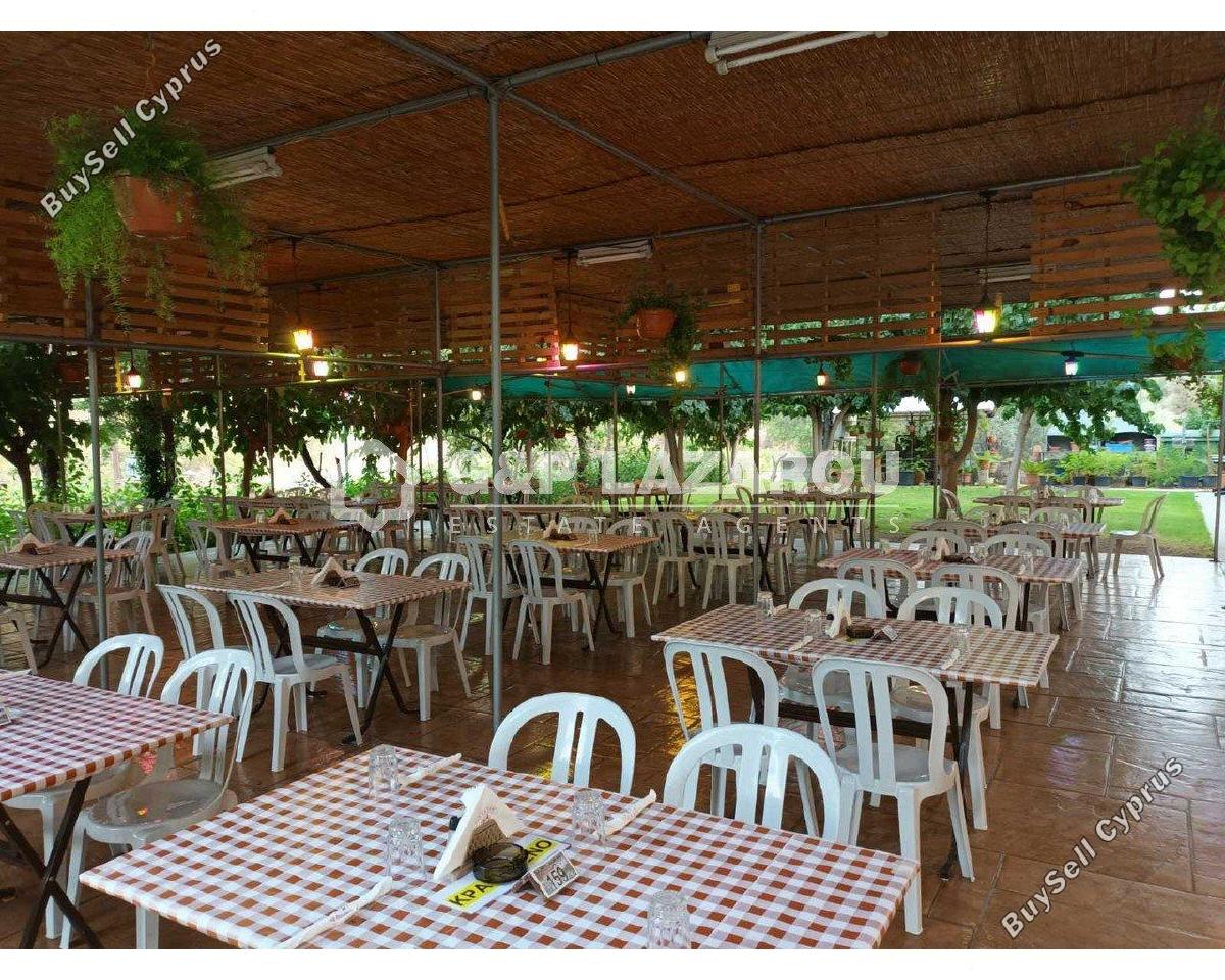 studio restaurant for sale agios epifanios oreinis nicosia 7591955 image 17601938