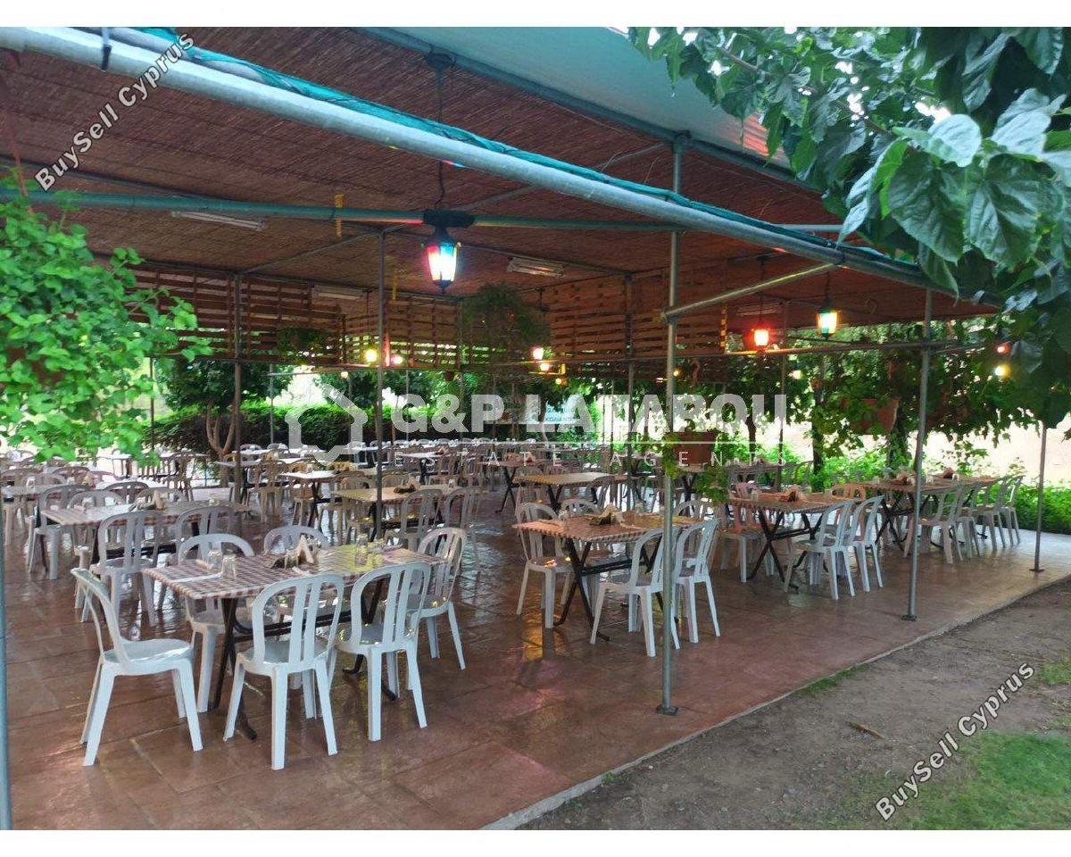 studio restaurant for sale agios epifanios oreinis nicosia 7591955 image 17601939