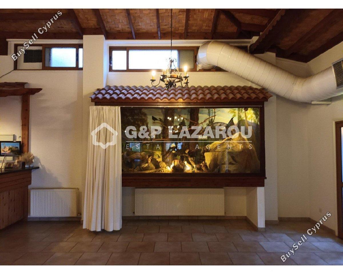 studio restaurant for sale agios epifanios oreinis nicosia 7591955 image 17601960