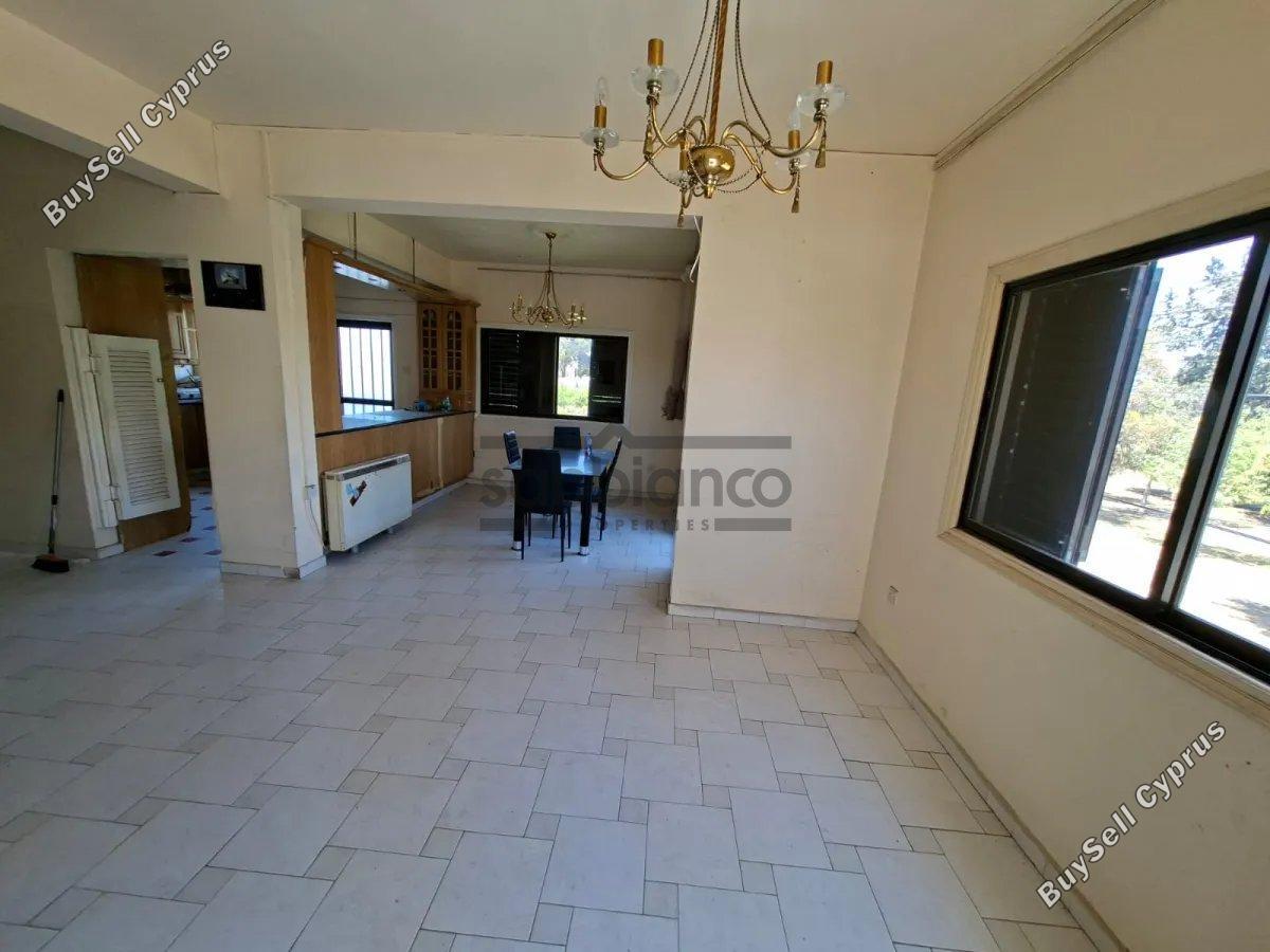 studio shop for sale faneromeni larnaca 8753065 image 16507047