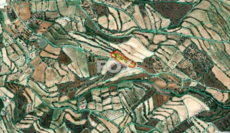 4530 SQM Land for sale in Letymvou, Paphos 5520544
