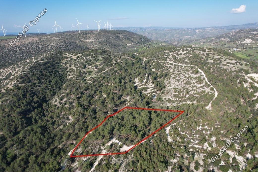 land for sale archimandrita paphos 1898265 image 14214200