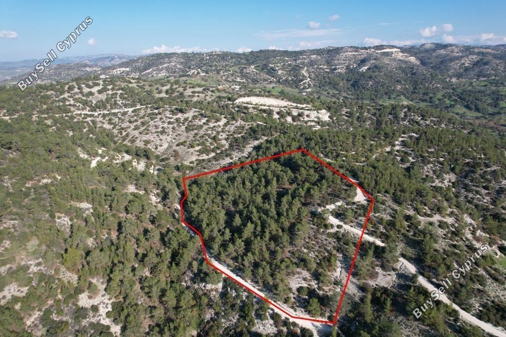 land for sale archimandrita paphos 1898265 image 14214205