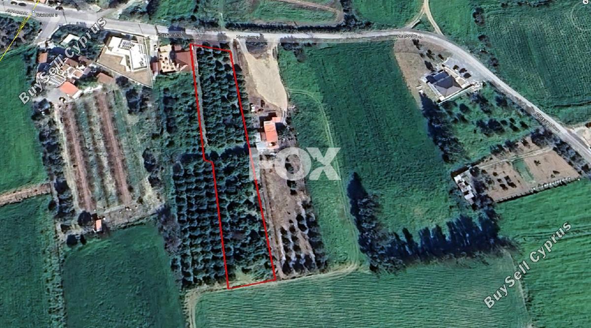 land for sale kolossi limassol 7867265 image 13291900