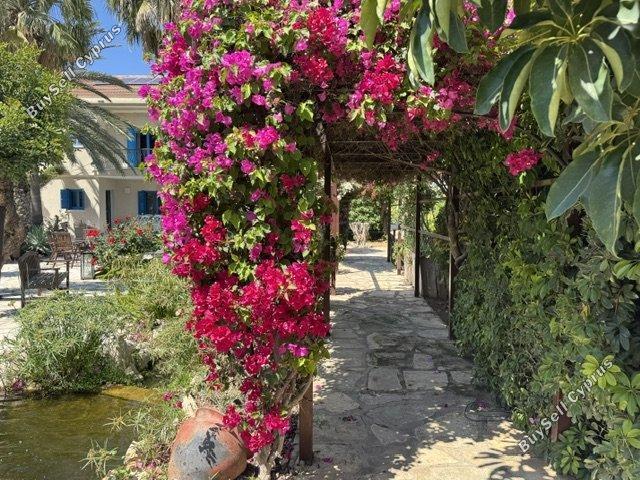 5 bedroom detached house for rent pyrgos limassol limassol 8692365 image 17264638