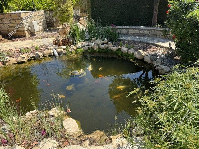 5 bedroom detached house for rent pyrgos limassol limassol 8692365 image 17264642