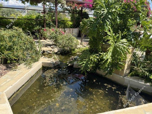 5 bedroom detached house for rent pyrgos limassol limassol 8692365 image 17264643