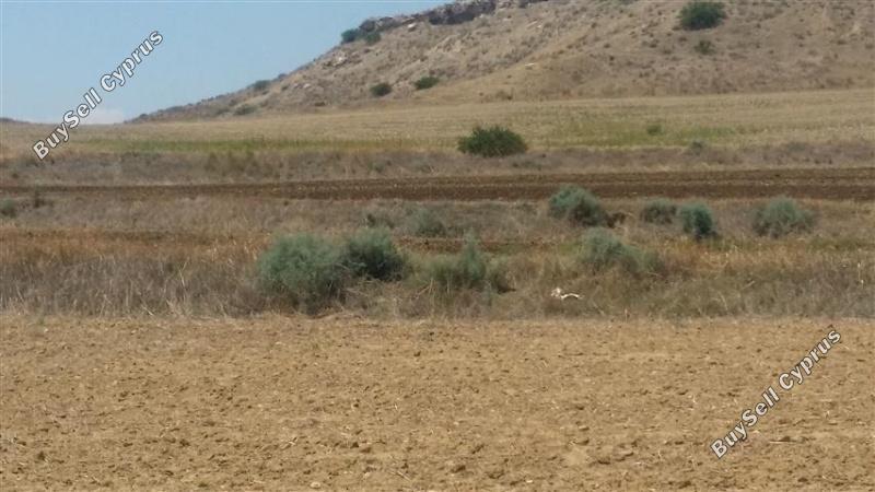 land for sale nisou nicosia 1098365 image 16180137