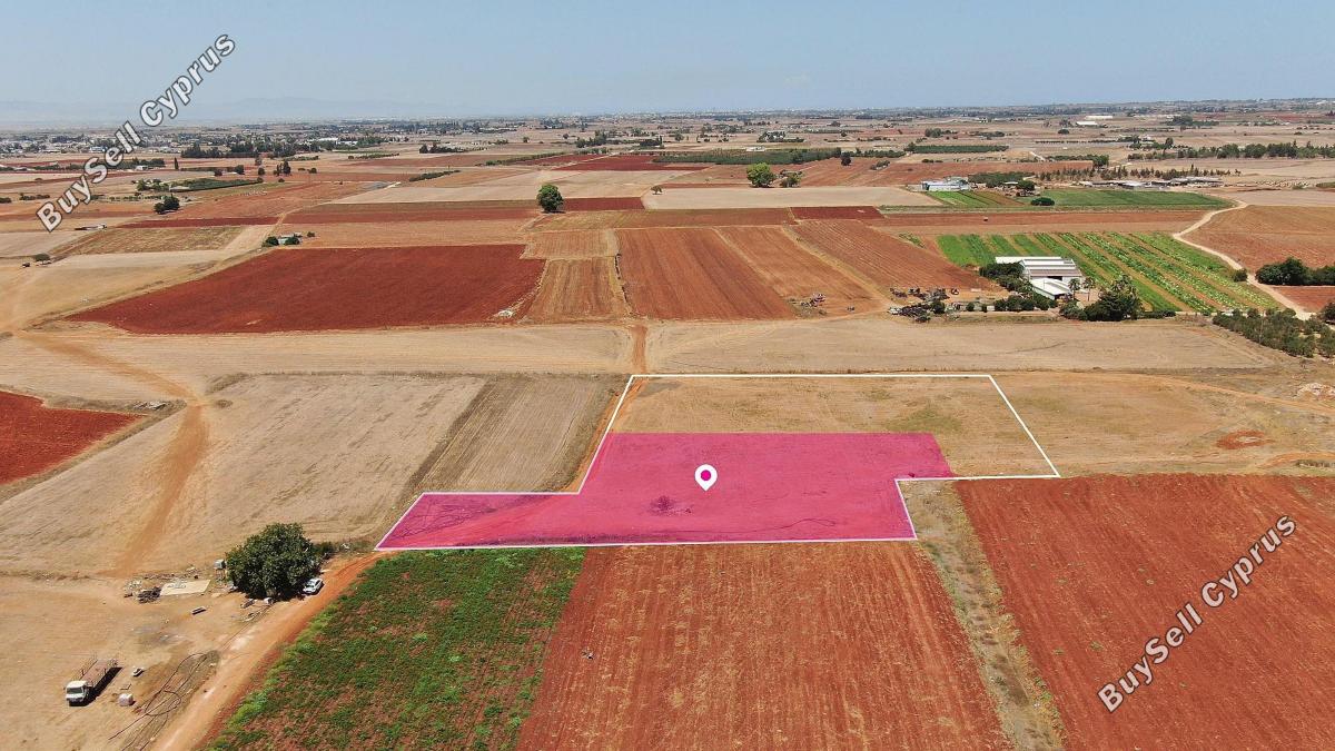 land under offer avgorou famagusta 1603365 image 15666446