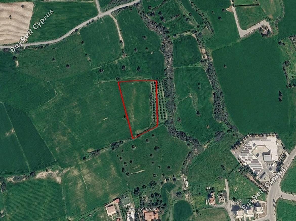 land for sale agios theodoros larnacas larnaca 8554465 image 15554094