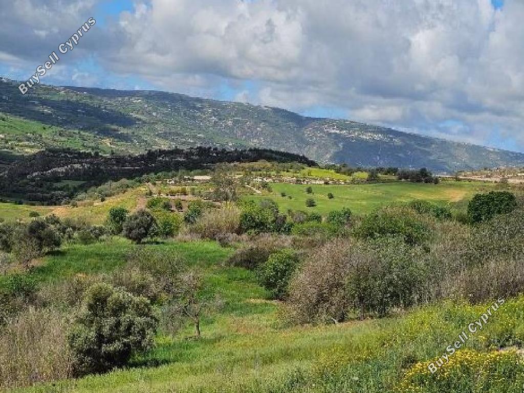 land for sale drynia paphos 7839465 image 15596727