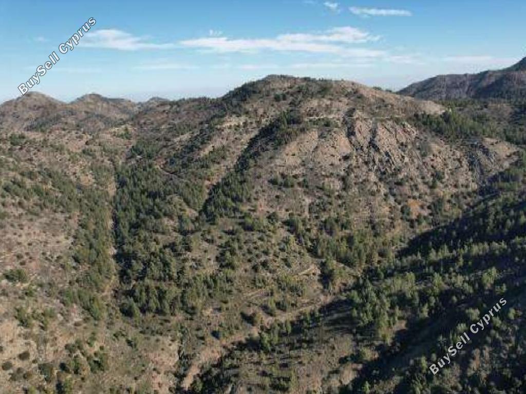 land for sale gourri nicosia 1353465 image 15599695