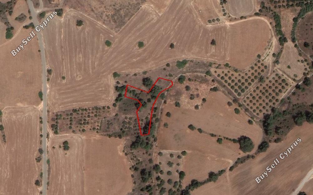 1338 SQM Land for sale in Mitsero, Nicosia 15664198