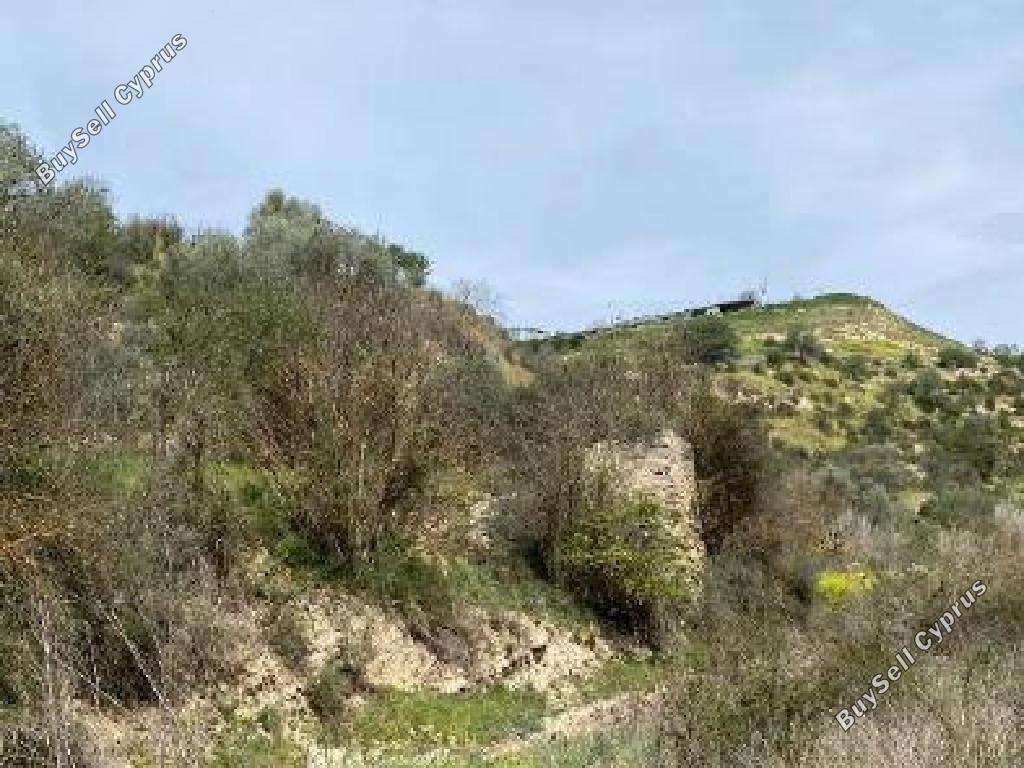 18395 SQM Land for sale in Amargeti, Paphos 16276111