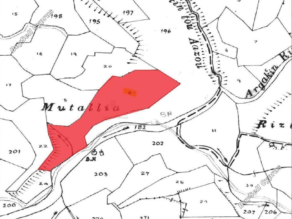 land for sale amargeti paphos 8628565 image 16276104