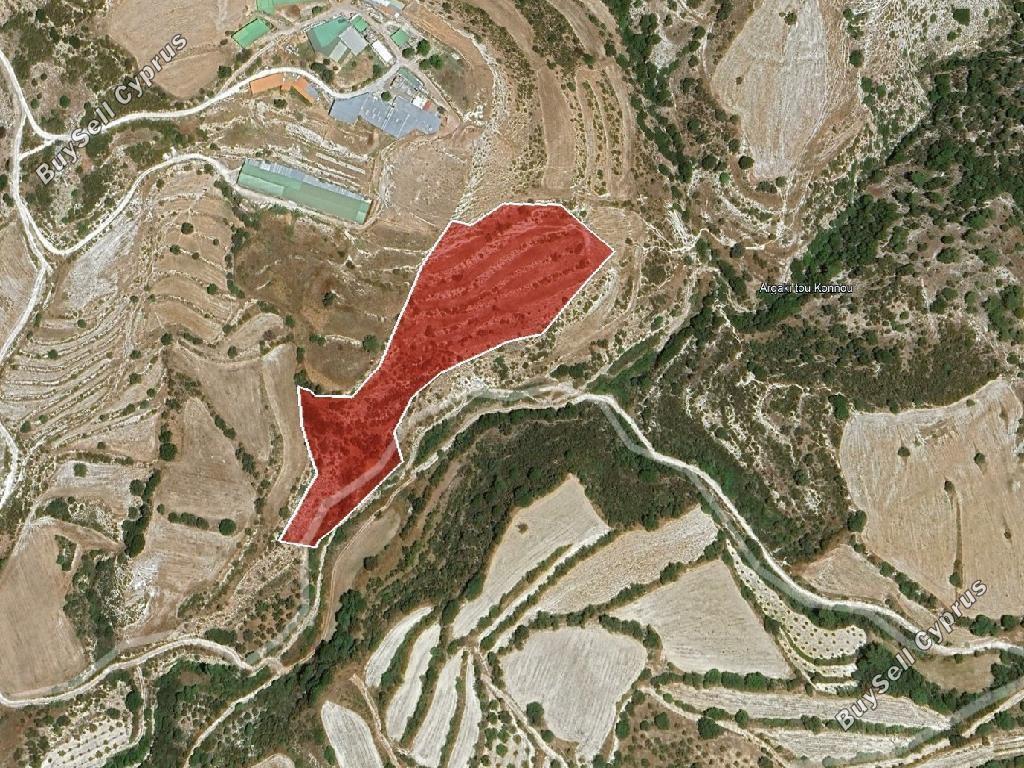 land for sale amargeti paphos 8628565 image 16276110