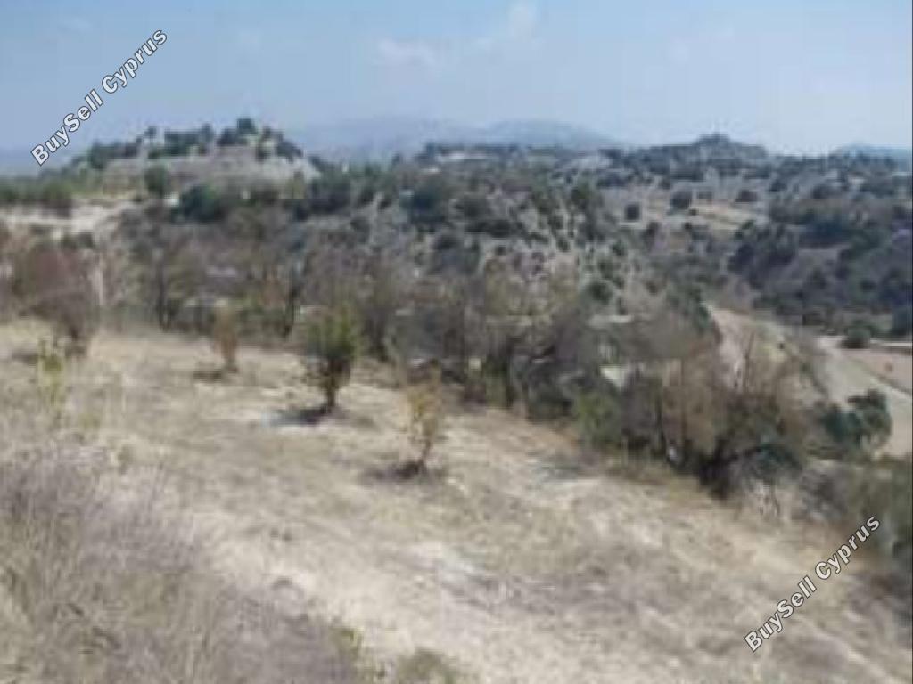 land for sale eledio paphos 826565 image 16009077