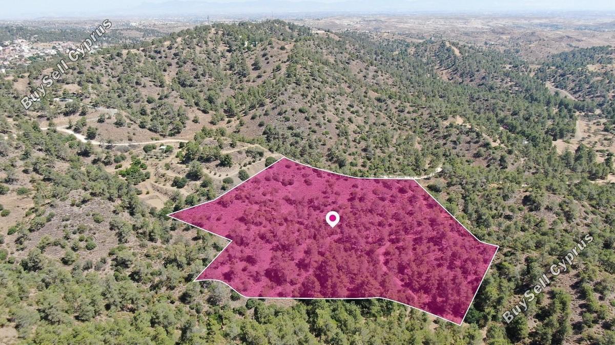 land for sale kapedes nicosia 8629565 image 15868969