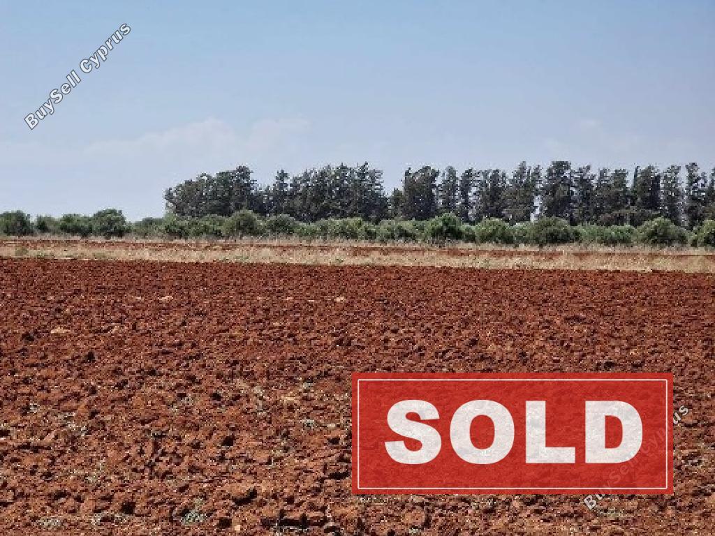 land sold ormideia larnaca 1562565 image 3897987