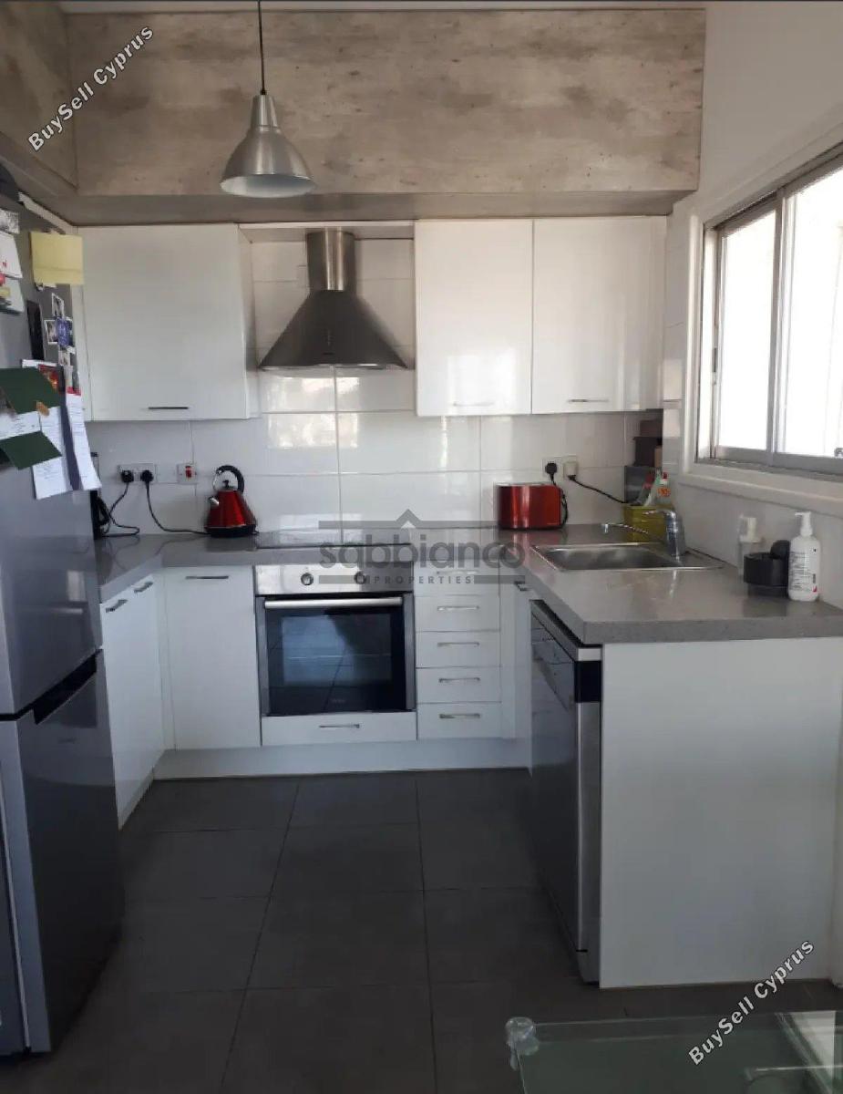 2 bedroom apartment for rent agios andreas nicosia nicosia 8748665 image 16467408