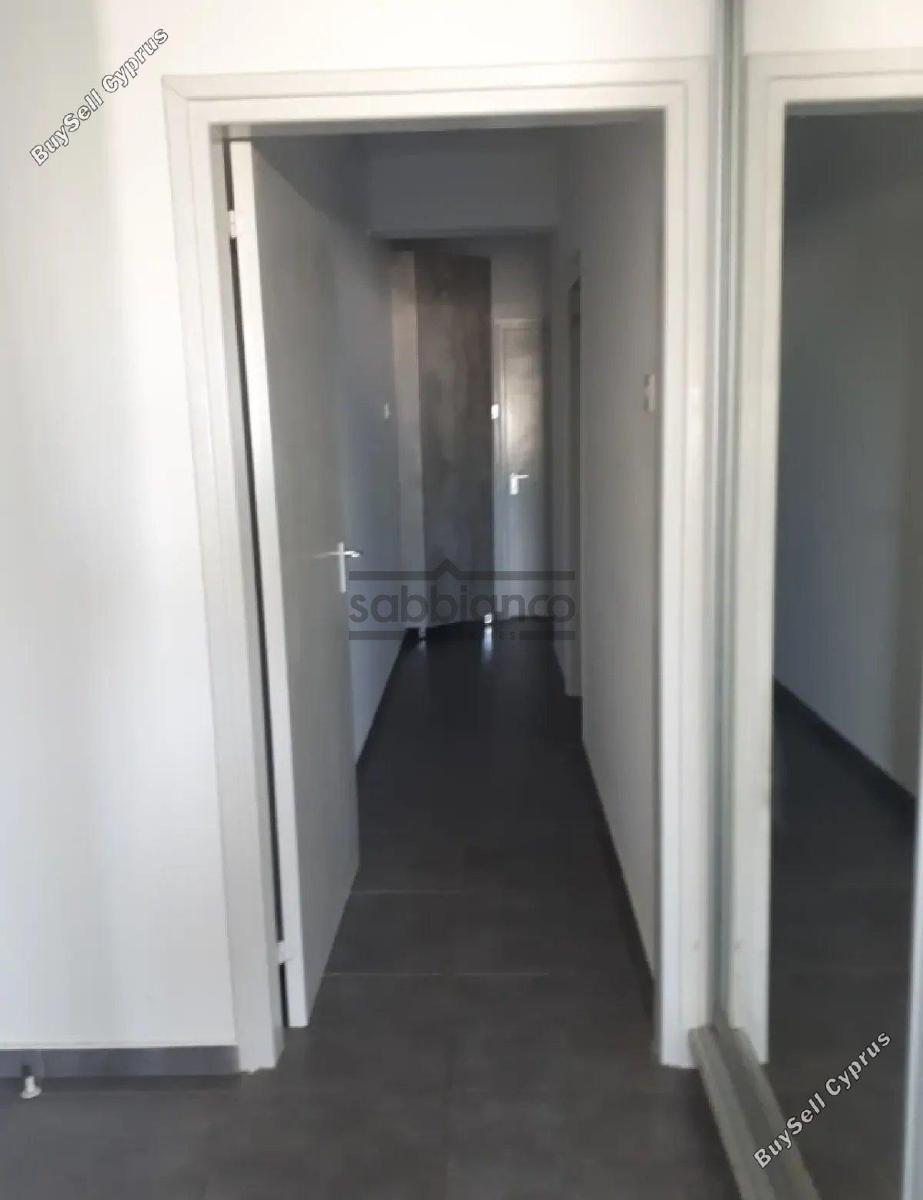 2 bedroom apartment for rent agios andreas nicosia nicosia 8748665 image 16467410