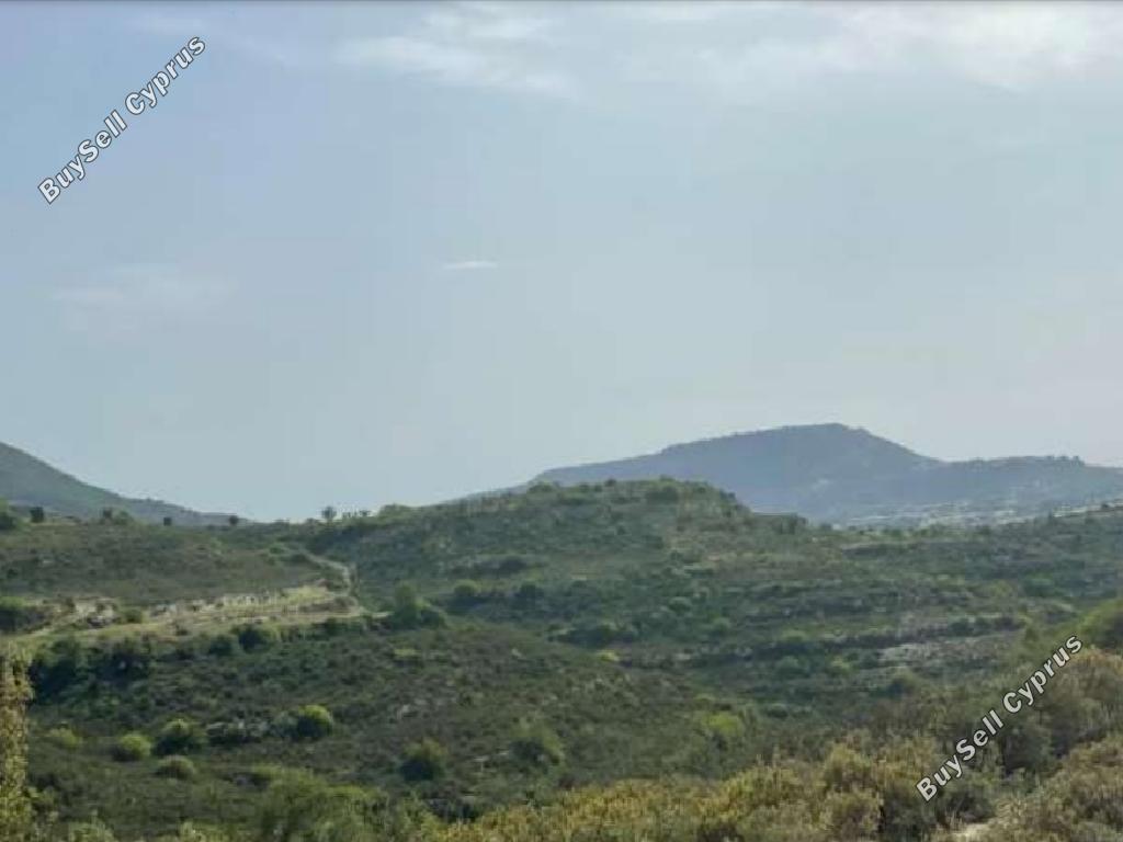 land for sale pachna limassol 8785665 image 16656173