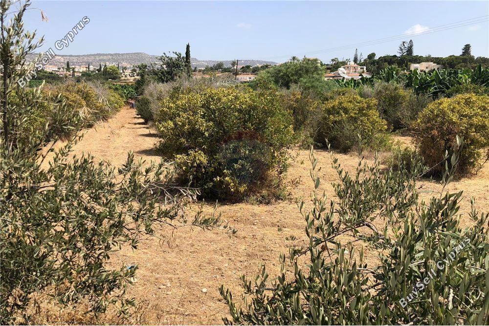 land for sale peyia paphos 1504665 image 16415698