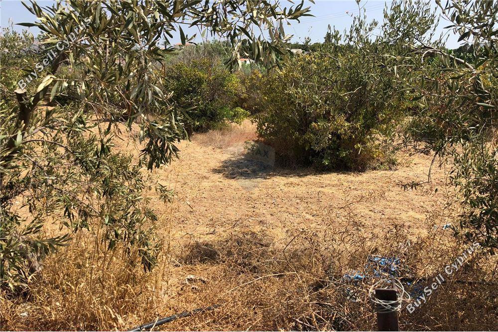 land for sale peyia paphos 1504665 image 16415702