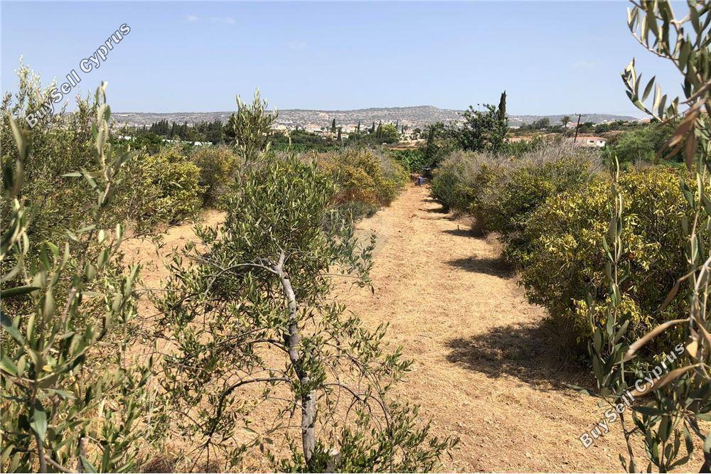 land for sale peyia paphos 1504665 image 16415705
