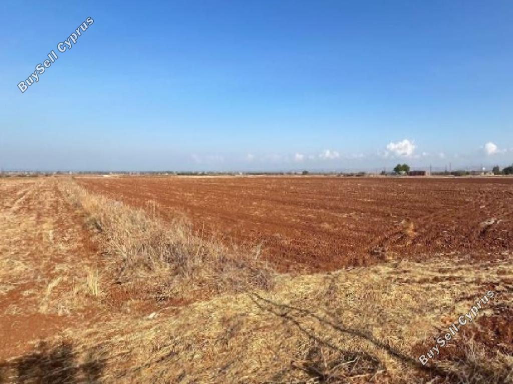 land for sale astromeritis nicosia 8639765 image 15907813
