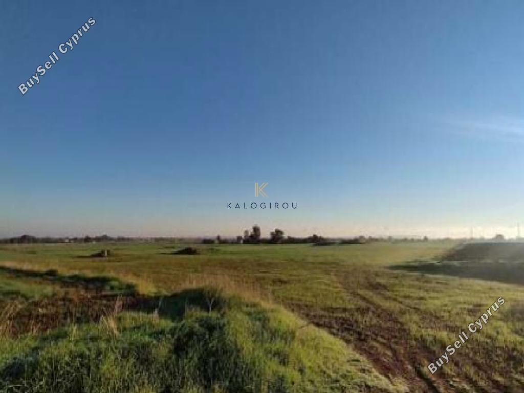land for sale xylofagou larnaca 8145865 image 13426201