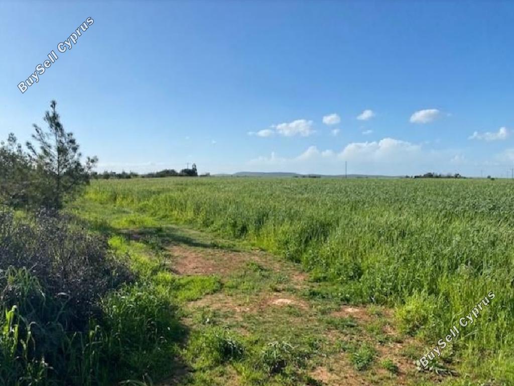 land for sale xylotymvou larnaca 1262865 image 15600991