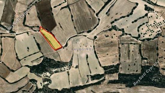 land for sale agios theodoros larnacas larnaca 1746965 image 5726711